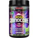 Aminokyselina Allmax Aminocore 400 g