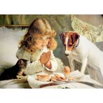 Norimpex Diamantové malování Očekávání 30 x 40 cm – Zbozi.Blesk.cz