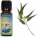 Airbi Esenciální olej Eukalyptus 10 ml – Hledejceny.cz