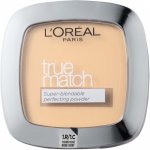 L'Oréal Paris True Match Minerals 1,R 1,C Rose Ivory 10 g – Zboží Mobilmania