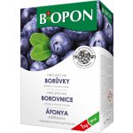 BIOPON BORŮVKY 1 kg – Zbozi.Blesk.cz