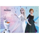 podložka Frozen – Zboží Dáma