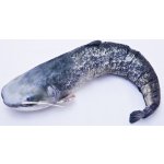 Gaby polštář ryba Sumec giant 115 cm – Zboží Dáma