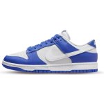 Nike Dunk Low Racer Blue Photon Dust FN3416-001 – Hledejceny.cz