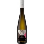 Weingut Jakob Jung Charta Ryzlink rýnský suché bílé 2023 12% 0,75 l (holá láhev) – Hledejceny.cz