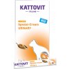 Ostatní krmivo pro kočky Kattovit Spezial-Cream Urinary 6 x 15 g