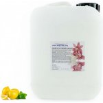 PM Aqualog esence do parních kabin citron-máta 812-005/D 5 l – Hledejceny.cz