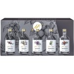 Anton Kaapl 47% 5 x 0,05 l (set) – Zboží Dáma