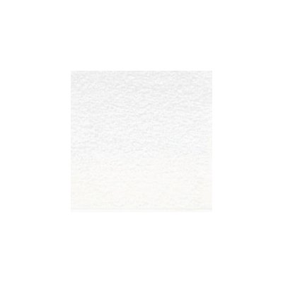 Derwent Pastel v tužce P720 titanium white – Zboží Dáma