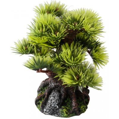 Laroy Group Aqua Della bonsai borovice 9,5 cm – Hledejceny.cz