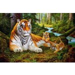 Norimpex Diamantové malování Tygřice s mláďaty 30 x 40 cm – Hledejceny.cz