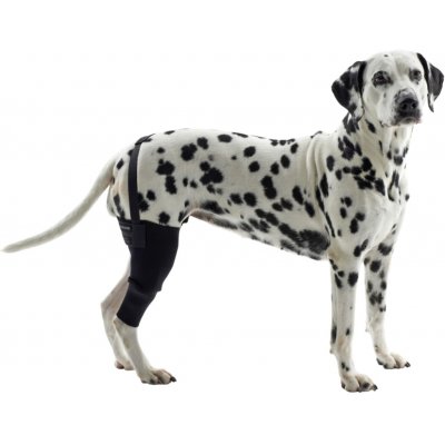 Kruuse Bandáž na koleno pro psa Rehab XXXS Levá – Sleviste.cz