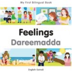 My First Bilingual Book-Feelings (English-Somali) - (Milet Publishing)(Board Books) – Hledejceny.cz