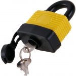 CARTELL Epoxyd Lepidlo dvousložkové 2x12g, transparentní – Zbozi.Blesk.cz