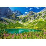 Castorland Zelené pleso Tatry Slovensko 1000 dílků – Zboží Mobilmania