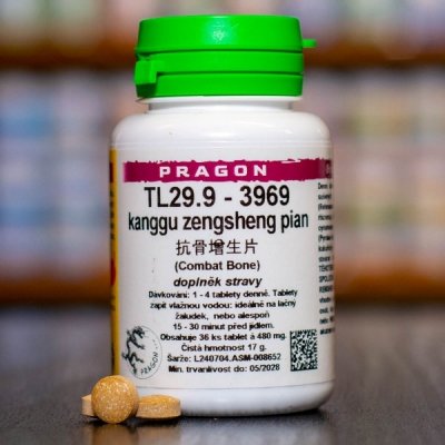 Pragon TL29.9 3969 36 tablet – Hledejceny.cz