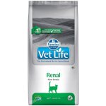 Vet Life Cat Renal 2 kg – Hledejceny.cz