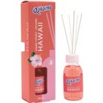 Q Home difuzér Hawai 95 ml – Hledejceny.cz