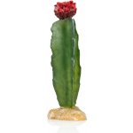GiganTerra Umělý kaktus Red 8x8x21 cm – Zboží Dáma
