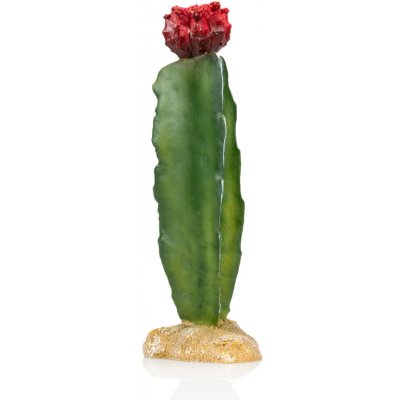 GiganTerra Umělý kaktus Red 8x8x21 cm – Zboží Dáma