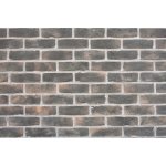 Wild Stone Holland Brick 305 fasádní nevada šedobéžová 21 x 6 cm 1m² – Hledejceny.cz