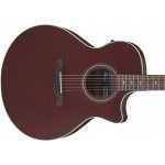 Ibanez AE100 – Zbozi.Blesk.cz