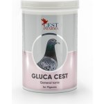 CEST PHARMA GLUCA CEST 0,6 kg – Hledejceny.cz