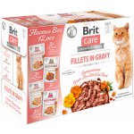 Brit Care Cat Fillet in Gravy krůta kachna losos a kuře 12 x 85 g – Sleviste.cz