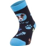 Unuo Bambusové ponožky Pes tyrkysové – Hledejceny.cz