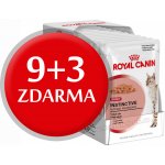 Royal Canin INSTINCTIVE 12 x 85 g – Zbozi.Blesk.cz