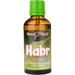 Habr tinktura z pupenů (gemmoterapie) 50 ml doplněk stravy – Hledejceny.cz