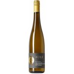 Weingut Wolf Vom Schiefer Kastanienbusch Ryzlink rýnský suché bílé 2020 12,5% 0,75 l (holá láhev) – Hledejceny.cz
