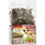 Nature LAND Pochoutka Botanical větvičky z lísky 50 g – Sleviste.cz