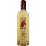 Arette Reposado 100% Agave 38% 0,7 l (holá láhev) – Zboží Dáma