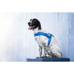 Vsepropejska Kelly pet postroj pro psa – Zboží Mobilmania