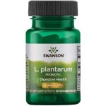 Swanson L.plantarum podpora střev 30 rostlinných kapslí – Hledejceny.cz