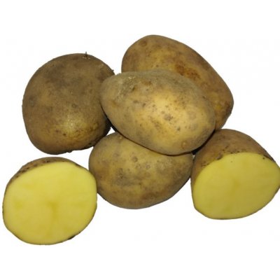 BIO sadbové brambory Bellinda - Solanum tuberosum - bio sadba - 10 ks – Zbozi.Blesk.cz