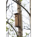 Esschert Design Budka Woodpecker pro datla 19 x 24 x 55 cm dřevo borové hnědá – Hledejceny.cz