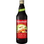 Rabenhorst Šťáva B- Aktiv recept dle Breusse Bio 0,75 l – Zboží Dáma