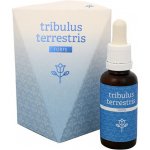 Energy Tribulus terrestris forte 30 ml – Zbozi.Blesk.cz