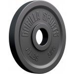 Gorilla Sports Zátěžová deska litina 50/51 mm 5 kg – Hledejceny.cz