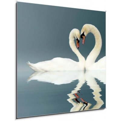 Obraz 1D - 50 x 50 cm - Love Swans swan heart Amor – Zbozi.Blesk.cz