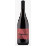 Vinařství Nikolsburg Cabernet Sauvignon 2018 výběr z hroznů suché červené 3,5% 0,75 l (holá láhev) – Hledejceny.cz