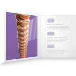 D'Addario XSABR1152 – Sleviste.cz