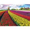 Puzzle EuroGraphics Pole tulipánů HDR 1000 dílků