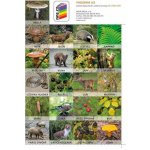 Sada pexesa Já a můj svět 2 – Hledejceny.cz