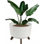 PROGARDEN Květináč 29 x 22 cm béžová KO-Y89300290 – Hledejceny.cz