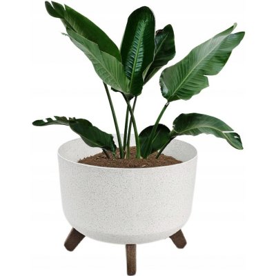 PROGARDEN Květináč 29 x 22 cm béžová KO-Y89300290 – Hledejceny.cz