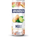 Amundsen Mule vodka & zázvor & limeta & soda 6% 0,25 l (plech) – Zboží Dáma