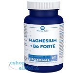 Pharma Activ Magnesium + B6 forte 60 tobolek – Hledejceny.cz